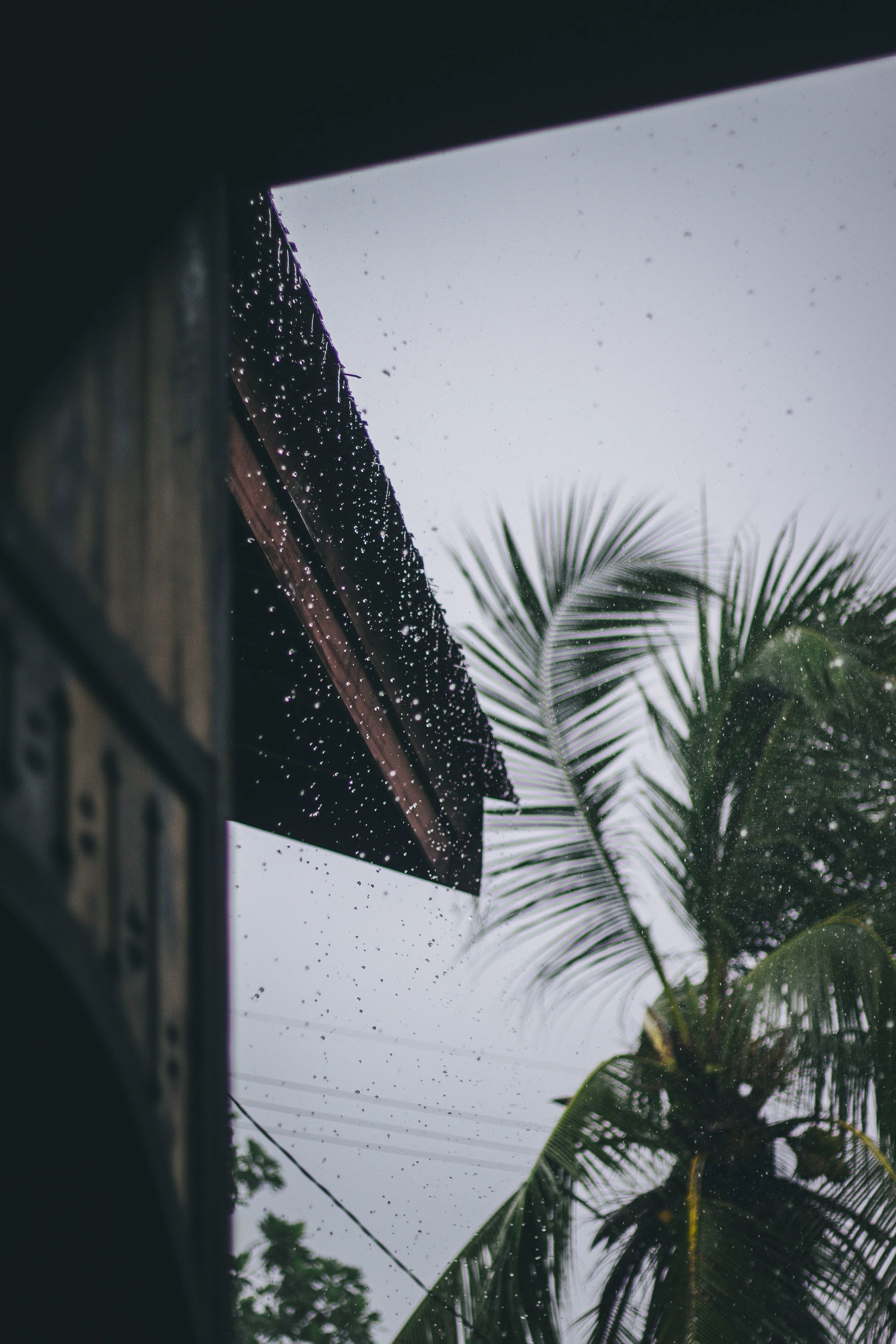 Rainy Day in Paraty? Here's What to Do