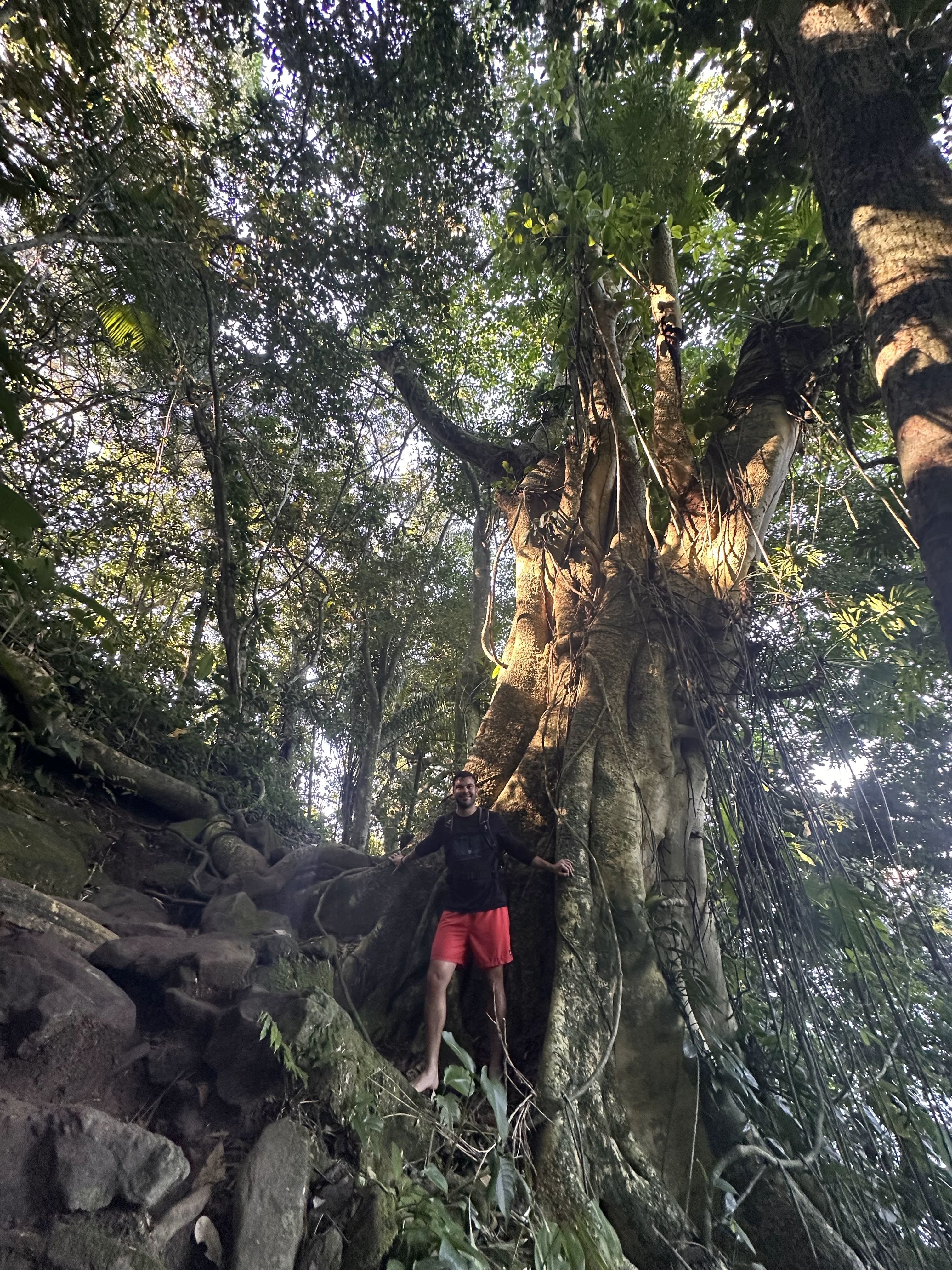 The Best Hiking Trails Around Paraty