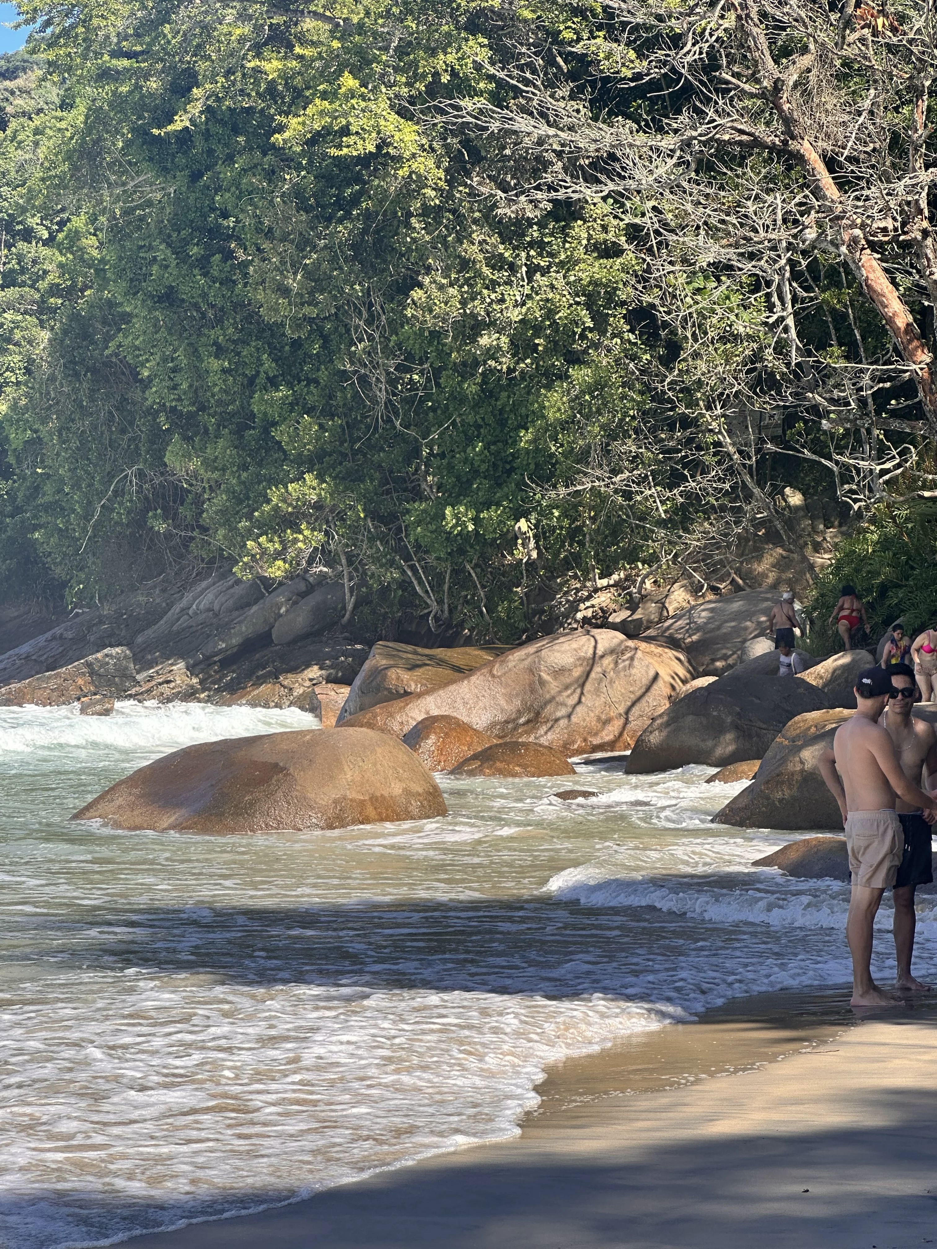 Trindade: The Complete Visitor's Guide