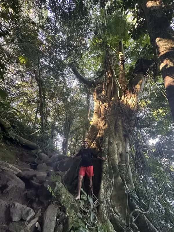 The Best Hiking Trails Around Paraty