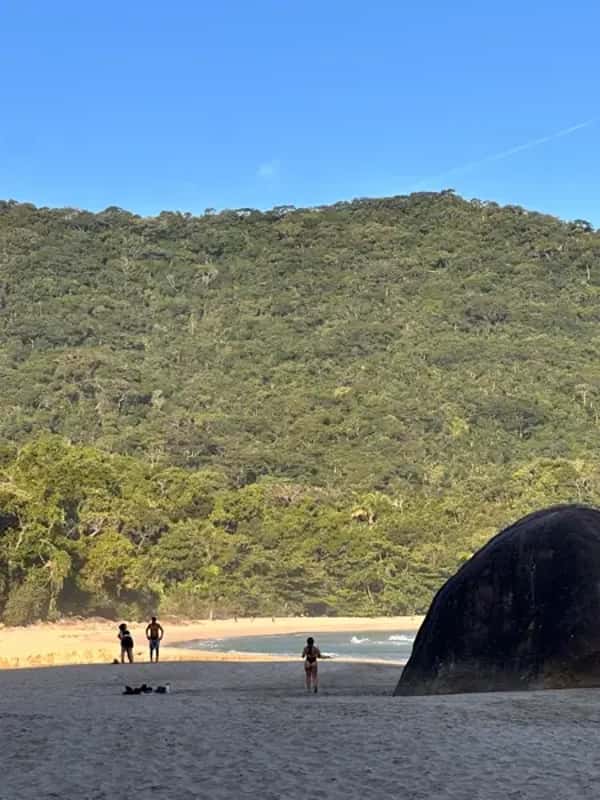 Praia do Sono: One of Brazil's Most Beautiful Beaches