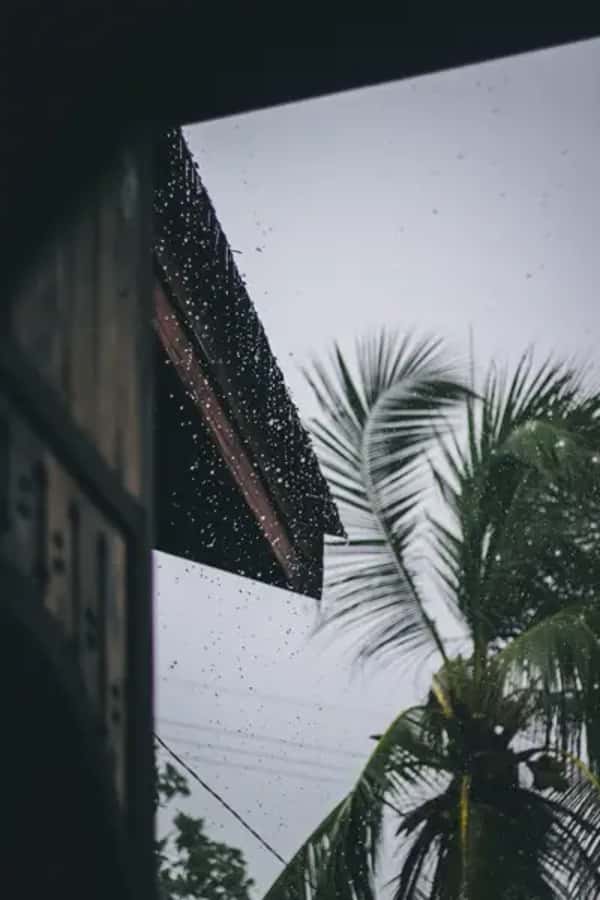Rainy Day in Paraty? Here's What to Do