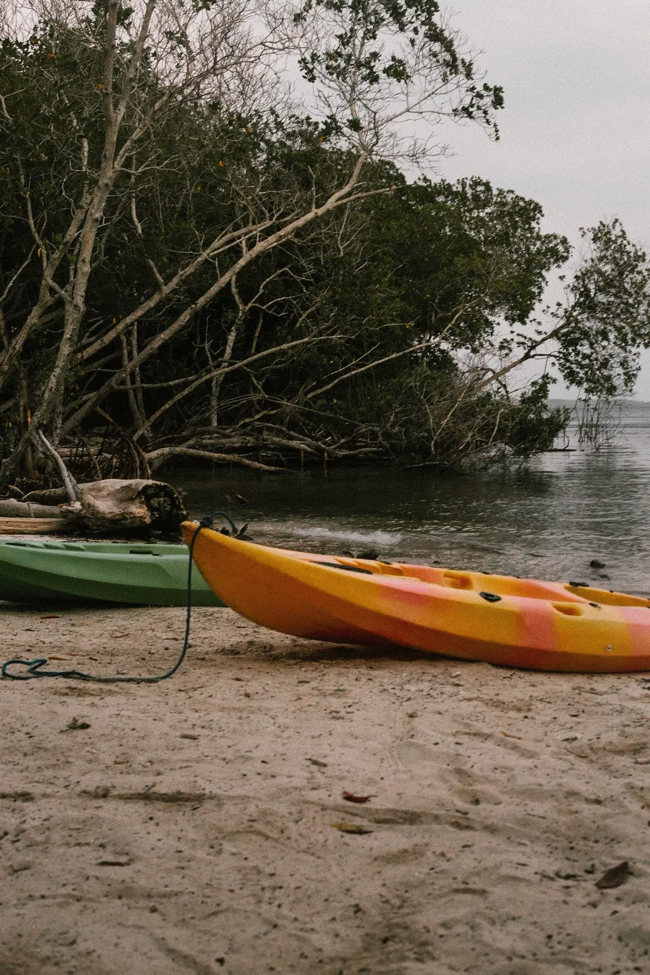 No road leads into Saco do Mamanguá, every route in is by boat, kayak, or on foot.
