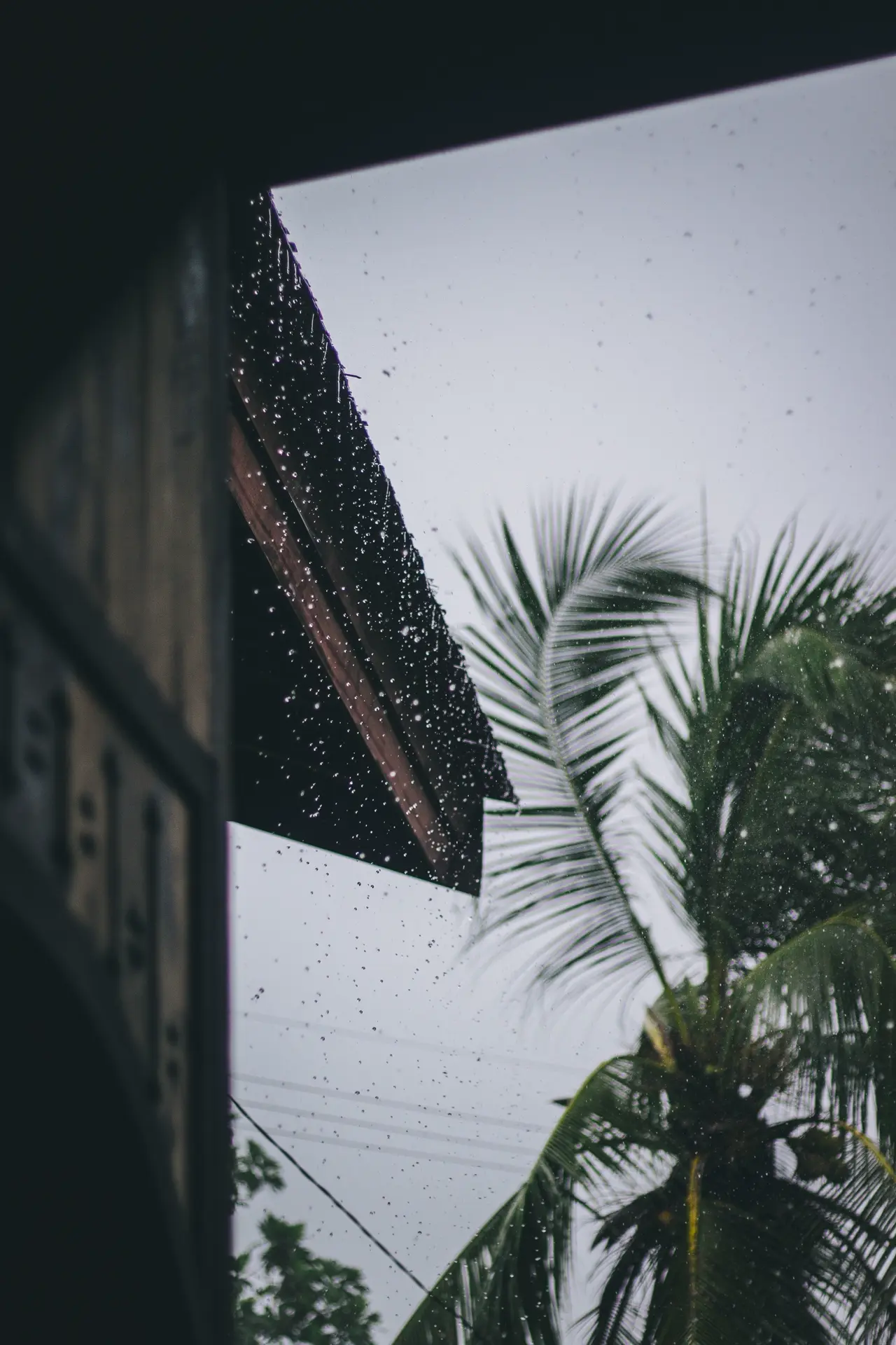 Afternoon downpours during the wetter months tend to arrive quickly and pass just as fast.