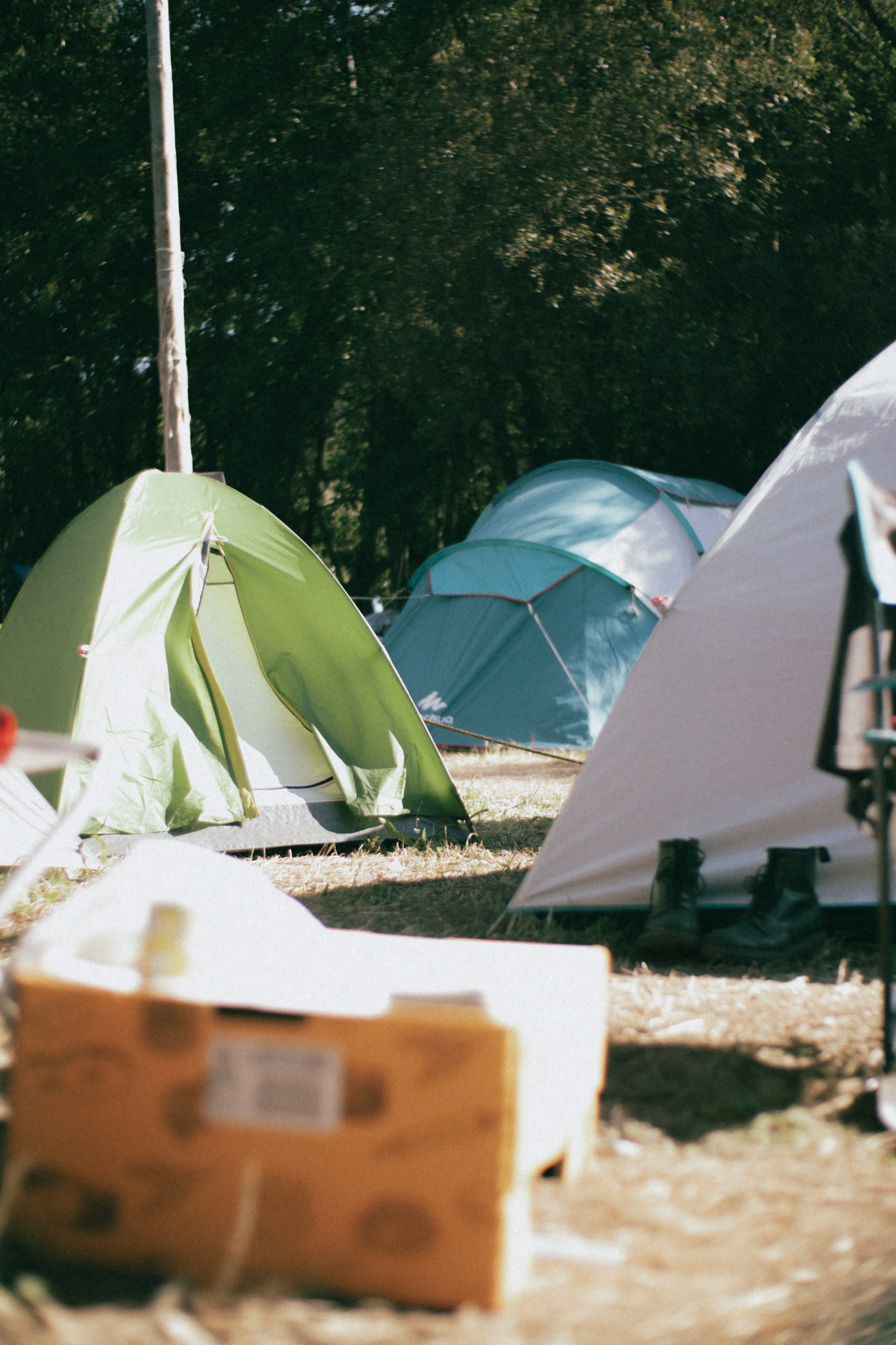 Simple camping and guesthouses sit right along the beaches inside the fjord.