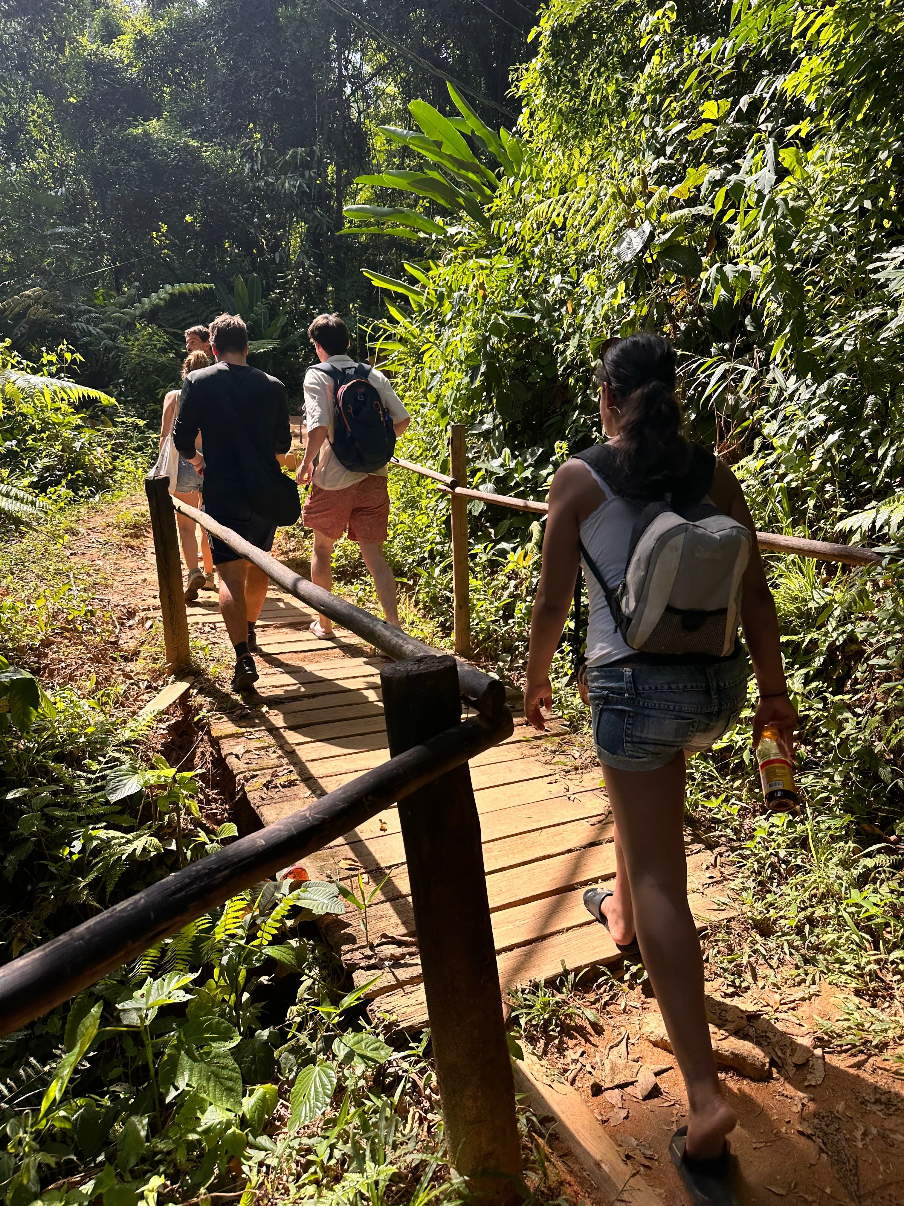 The trail to Praia do Sono winds through dense Atlantic Rainforest.