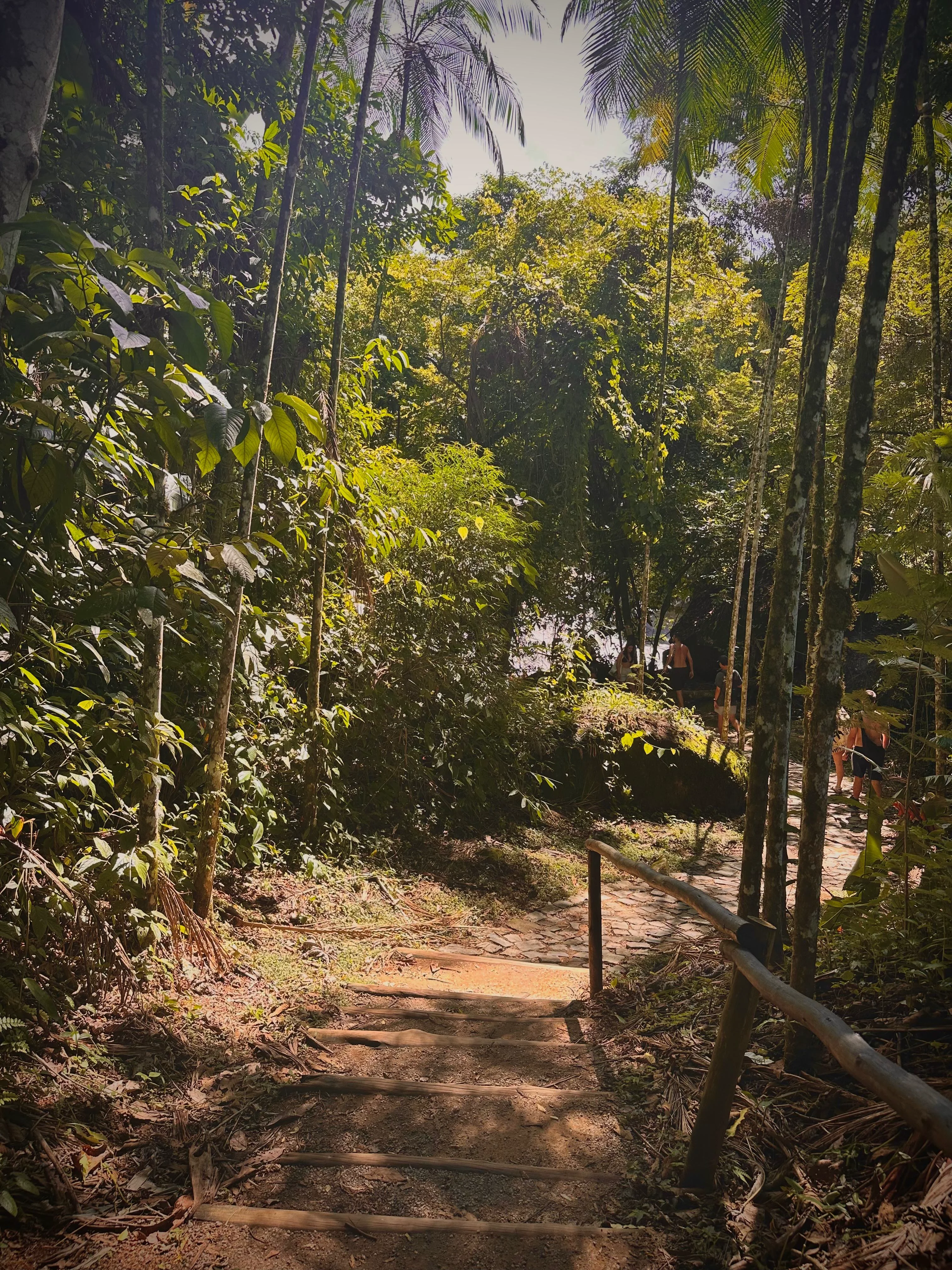The Atlantic Rainforest surrounding Paraty is crossed by trails ranging from historic mountain routes to easy coastal walks.