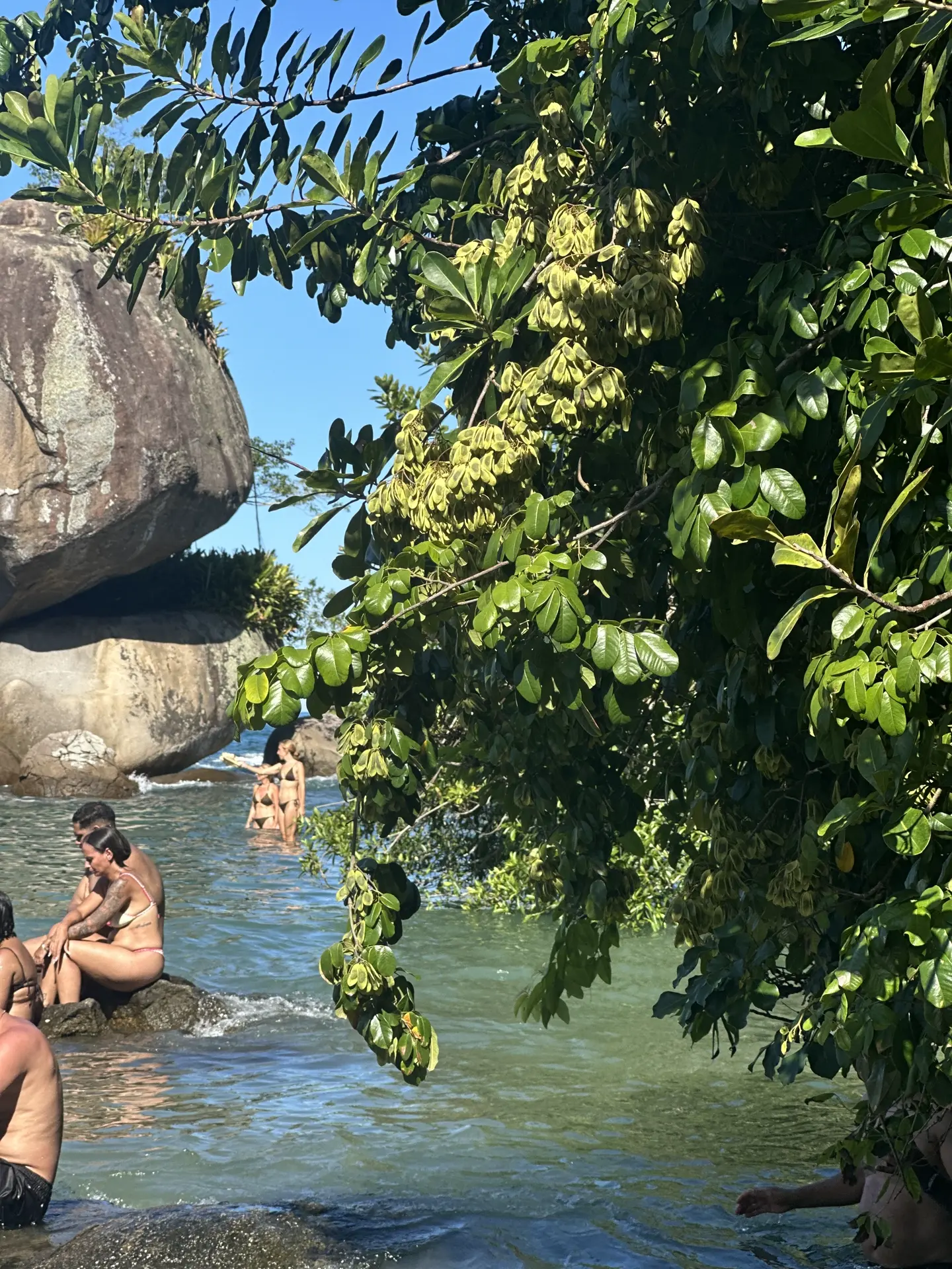 Many visitors spend a full day exploring Trindade's beaches and trail.